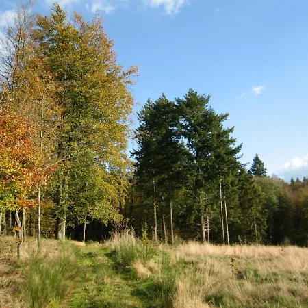 Отель Tastefully Furnished Located In The Heart Of The Ardennes 4*